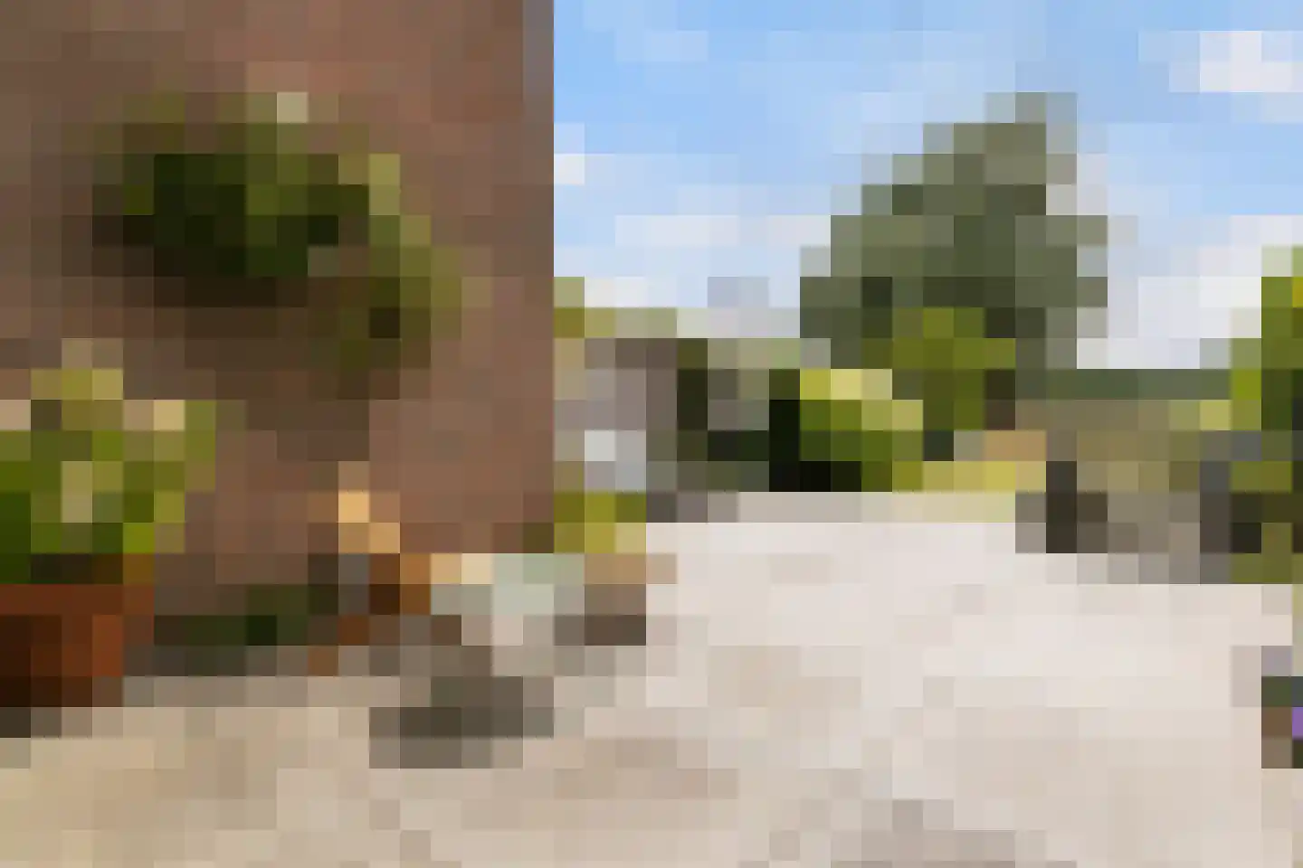 Brugakker 6515 Zeist thumbnail 23