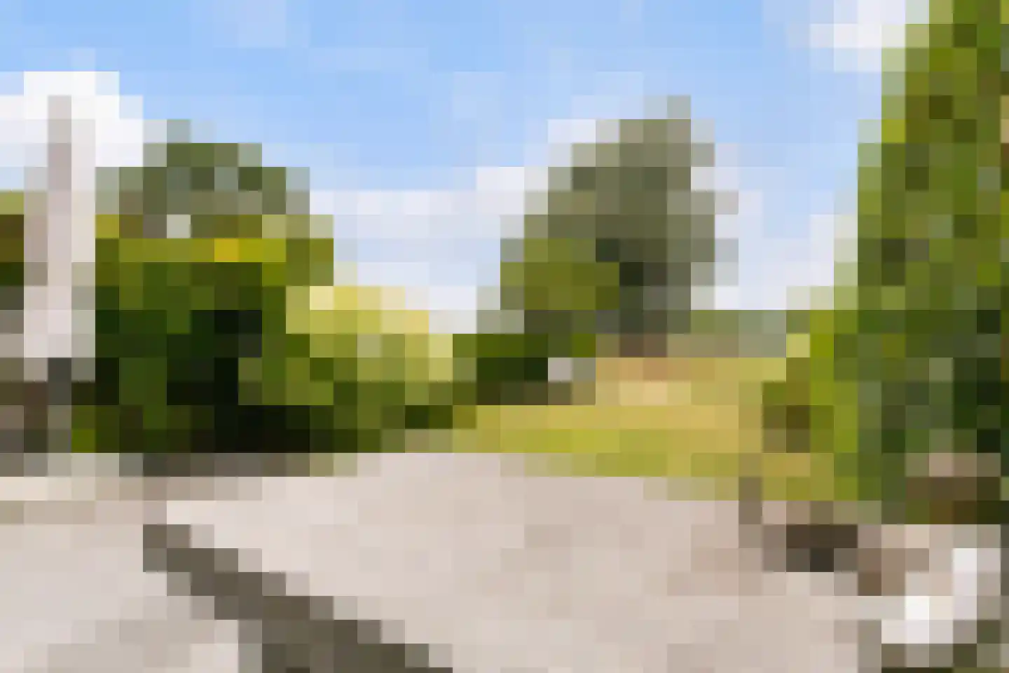 Brugakker 6515 Zeist thumbnail 25