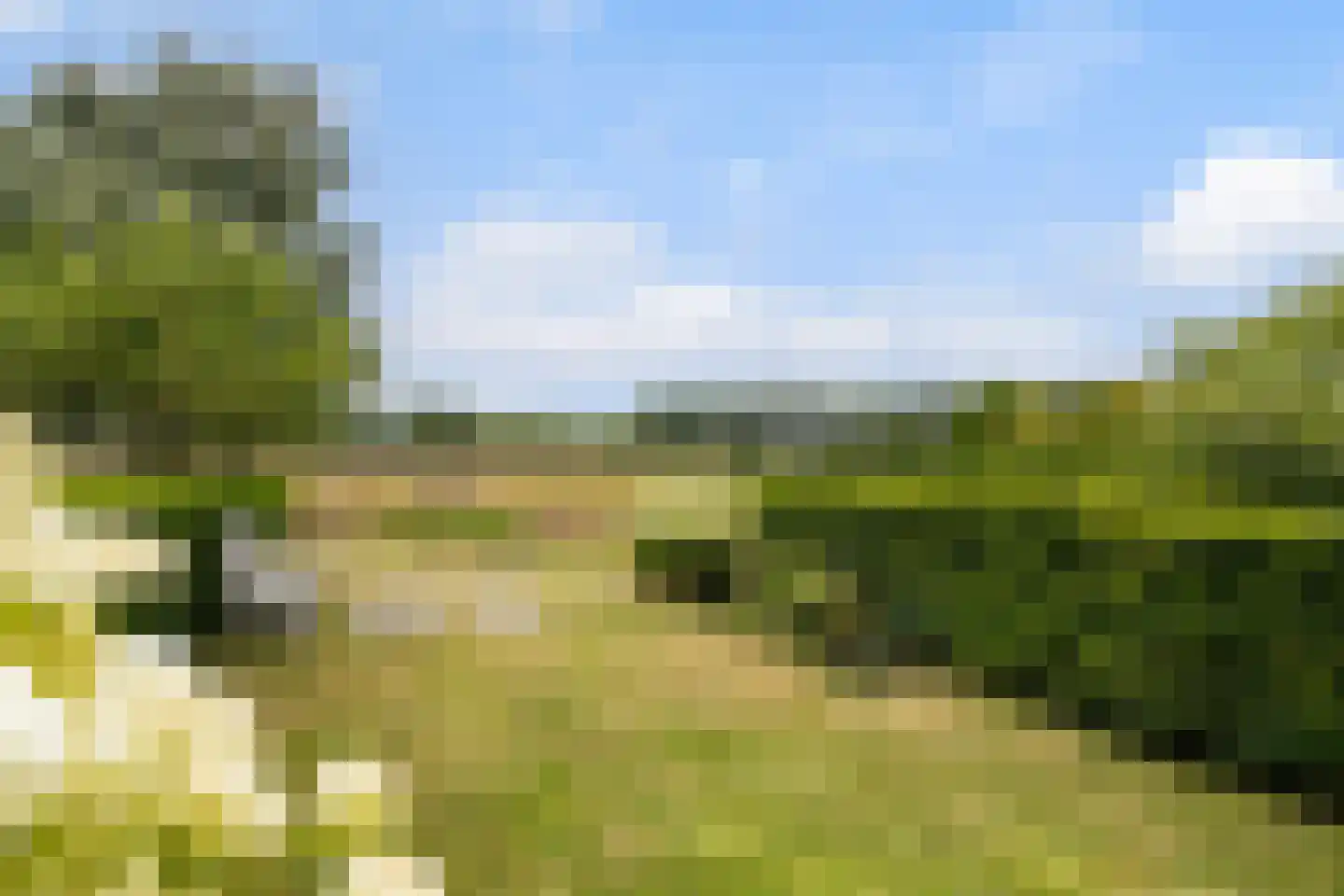 Brugakker 6515 Zeist thumbnail 26