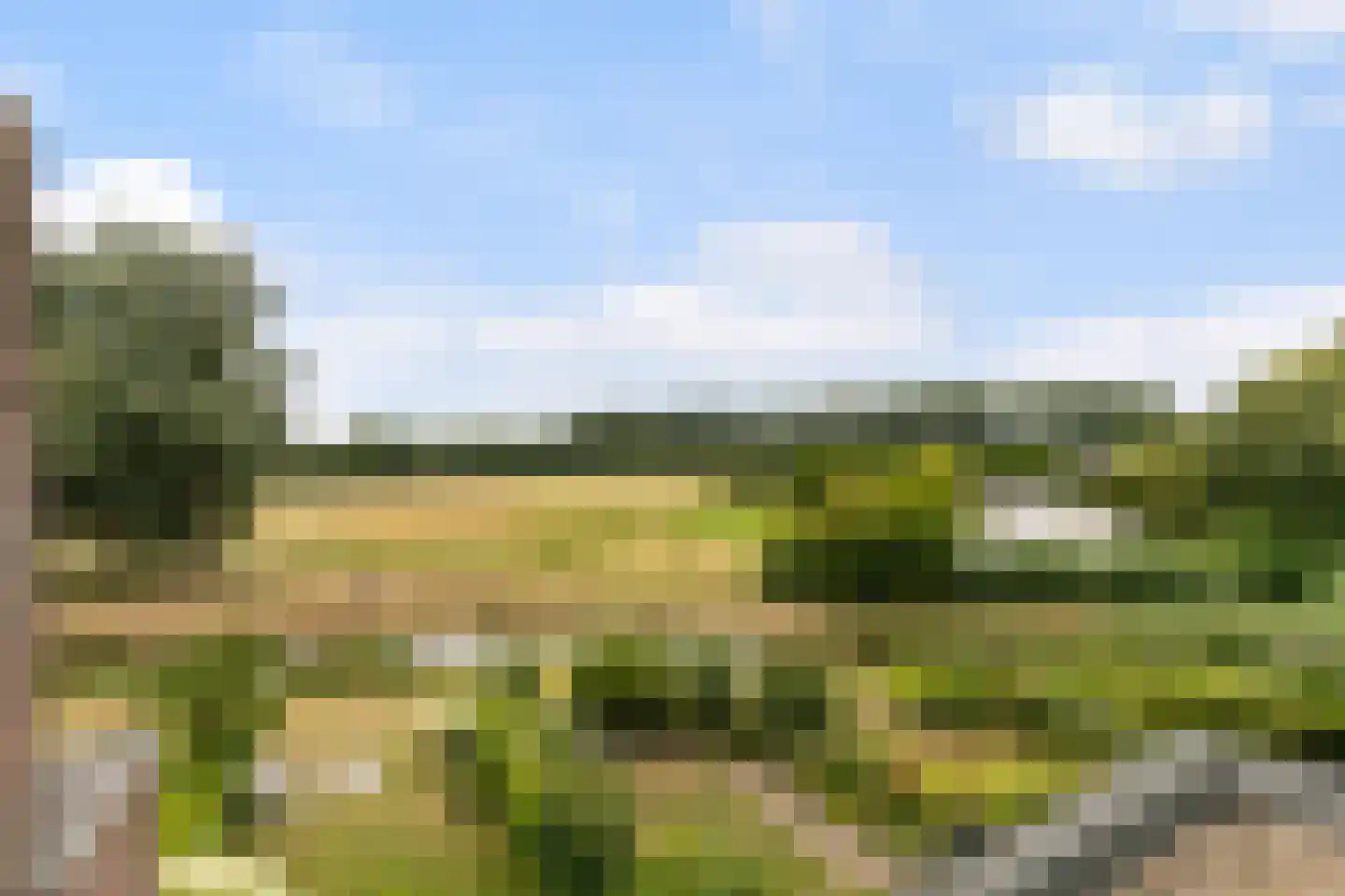 Brugakker 6515 Zeist thumbnail 27