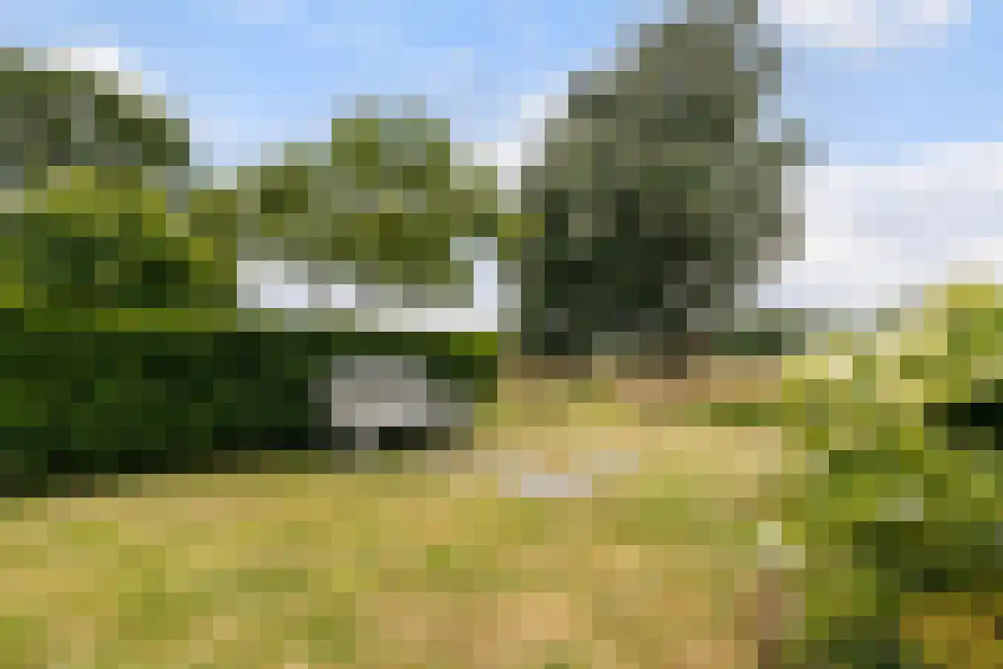 Brugakker 6515 Zeist thumbnail 28