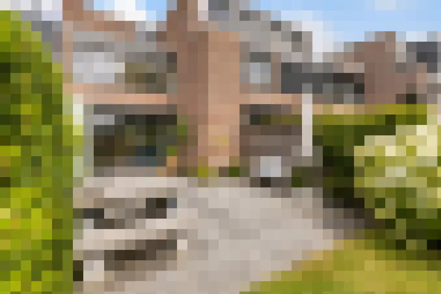 Brugakker 6515 Zeist thumbnail 30