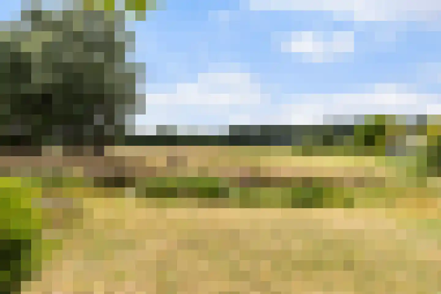 Brugakker 6515 Zeist thumbnail 31