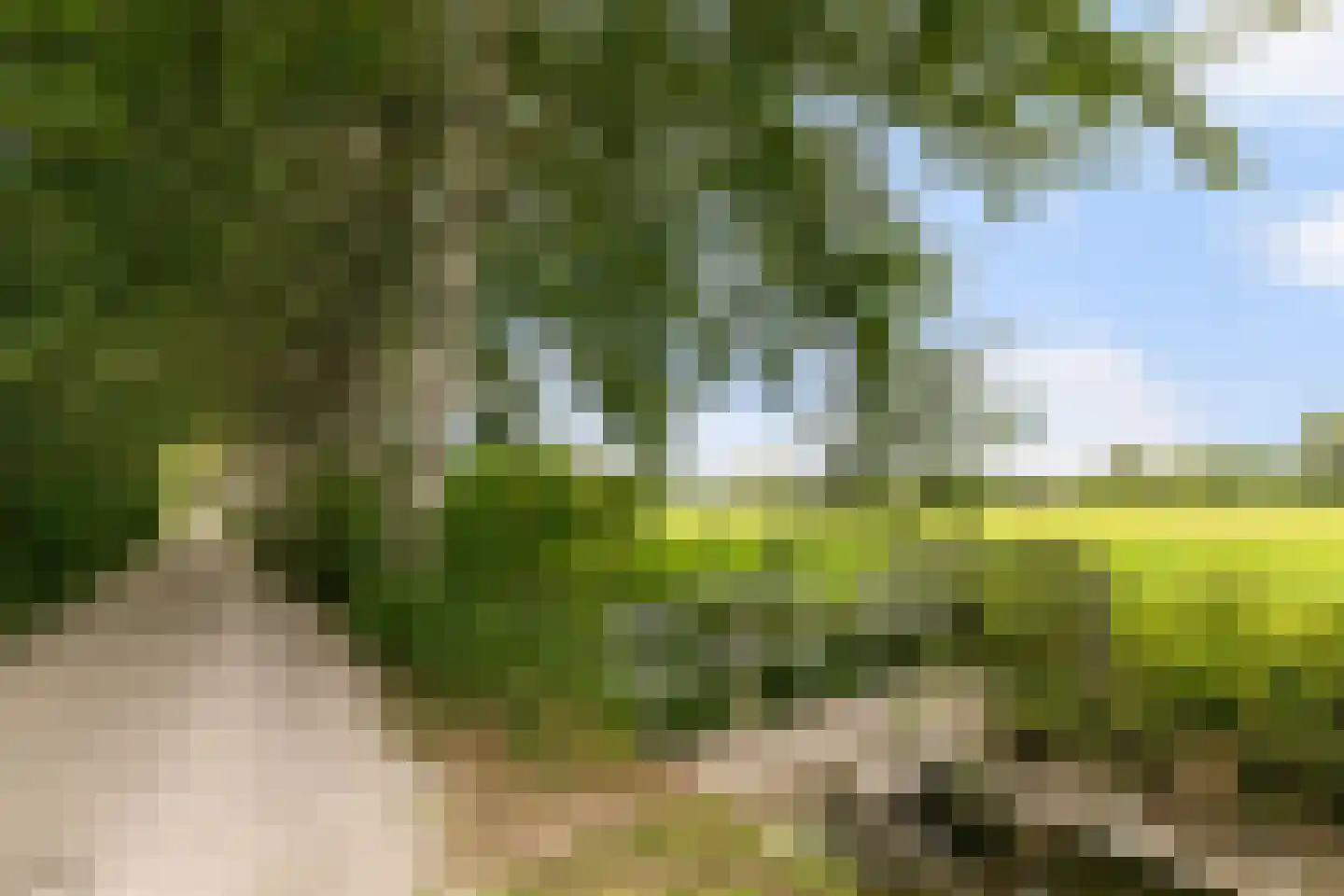 Brugakker 6515 Zeist thumbnail 47