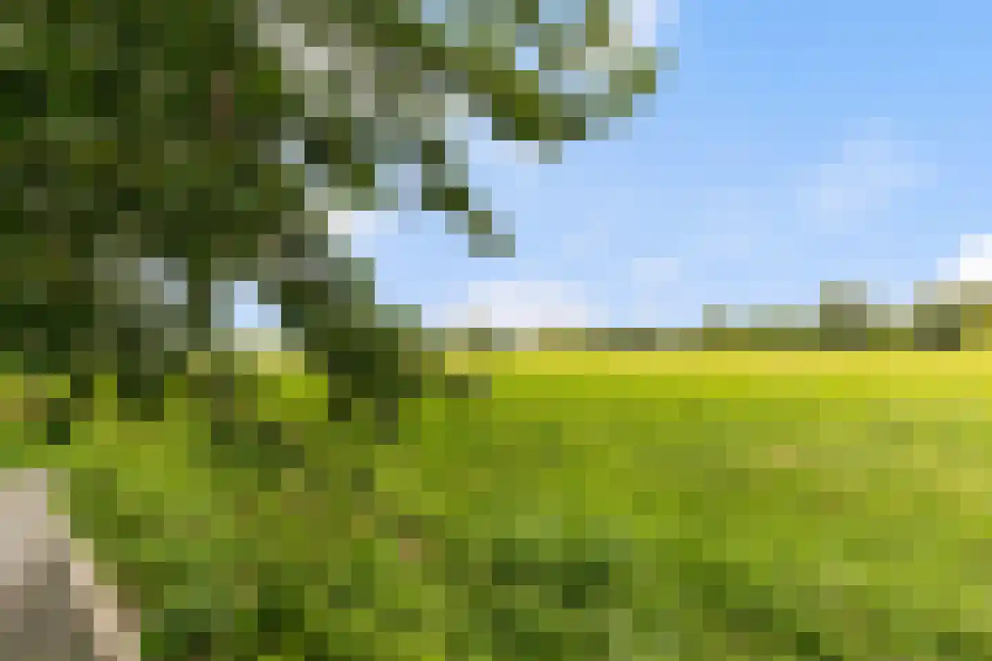 Brugakker 6515 Zeist thumbnail 48