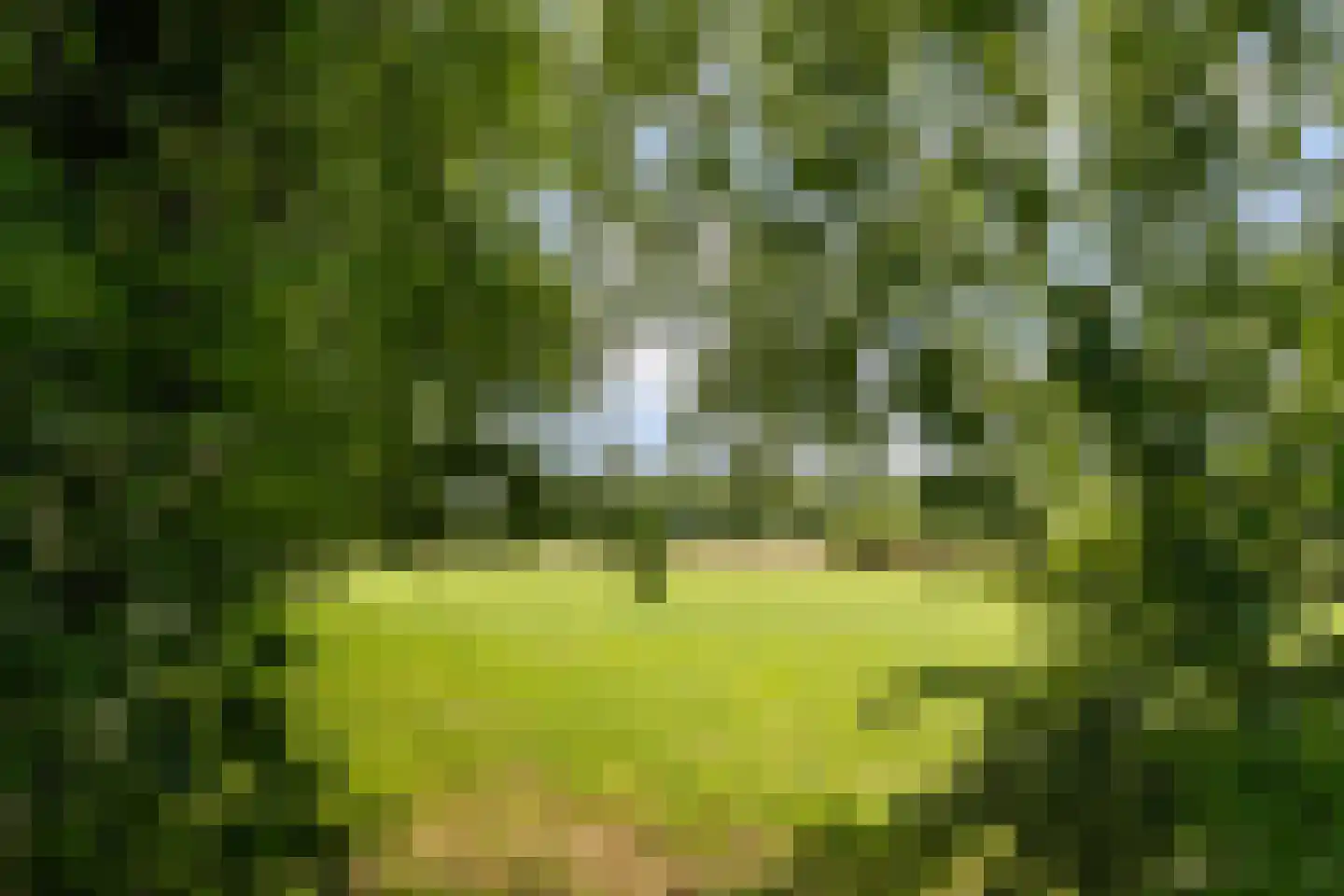 Brugakker 6515 Zeist thumbnail 49