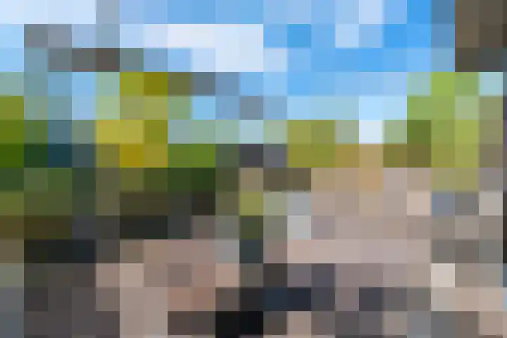 Brugakker 6607 Zeist thumbnail 27
