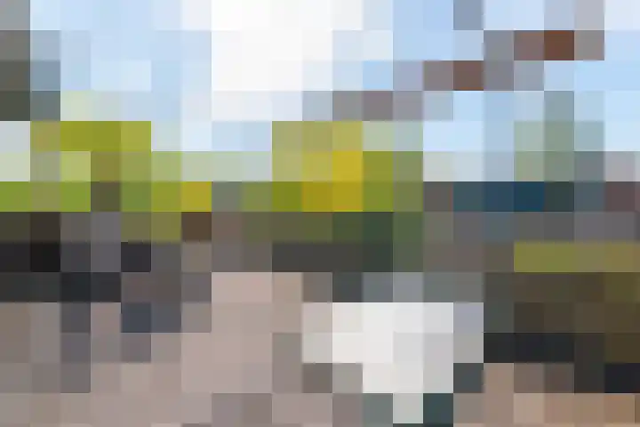 Brugakker 6607 Zeist thumbnail 28