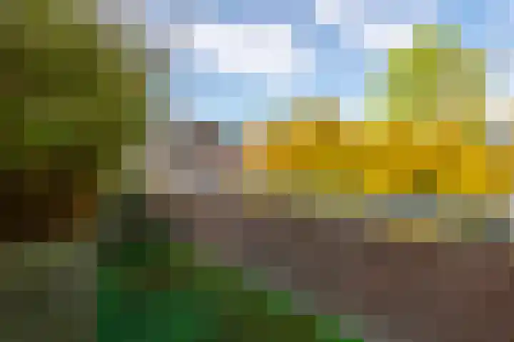 Brugakker 6607 Zeist thumbnail 29