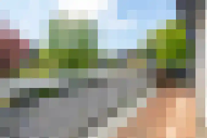 Brugakker 6607 Zeist thumbnail 30