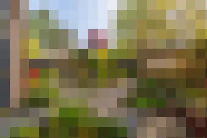 Brugakker 6607 Zeist thumbnail 31