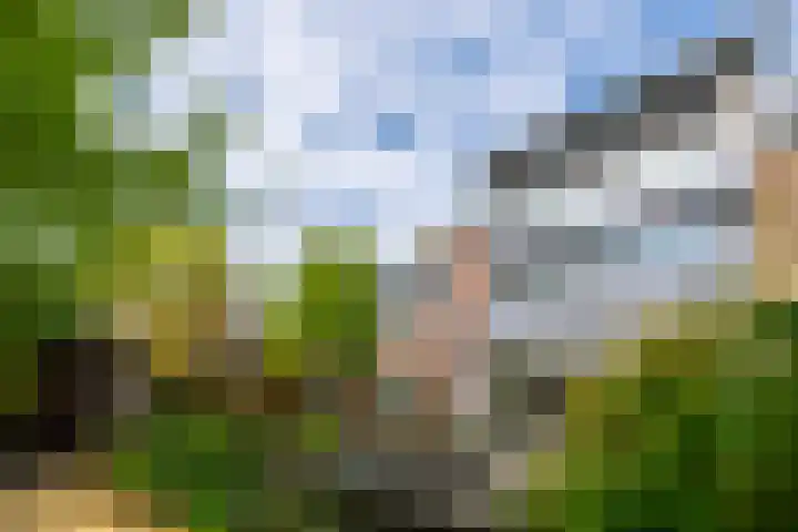 Brugakker 6607 Zeist thumbnail 32