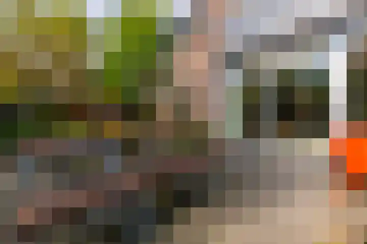 Brugakker 6607 Zeist thumbnail 33