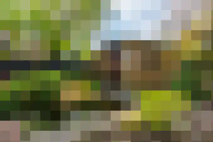 Brugakker 6607 Zeist thumbnail 34