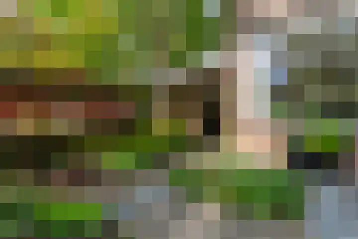 Brugakker 6607 Zeist thumbnail 35