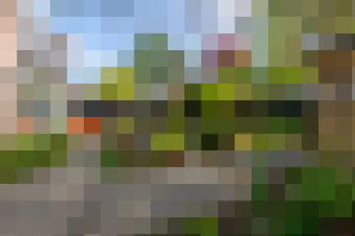 Brugakker 6607 Zeist thumbnail 36