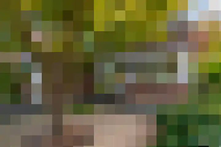 Brugakker 6607 Zeist thumbnail 37