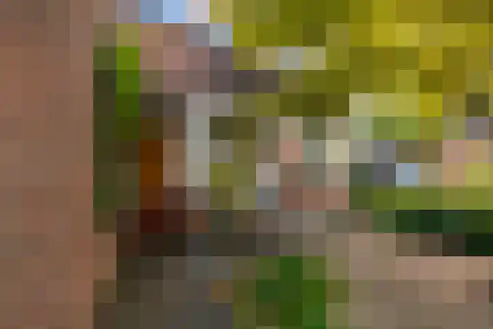 Brugakker 6607 Zeist thumbnail 38