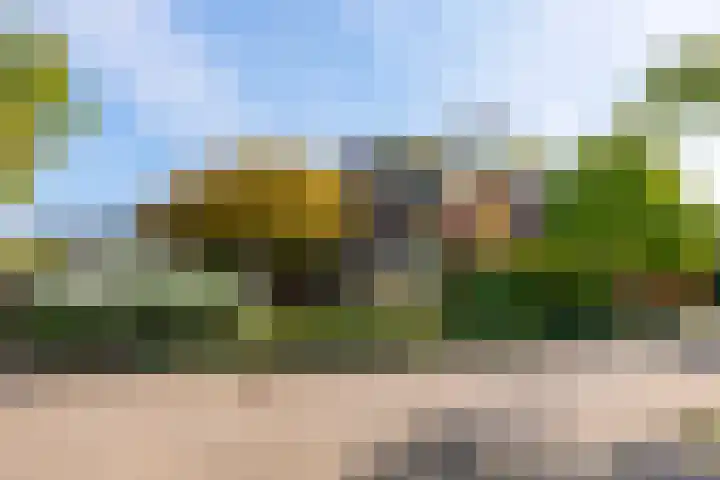 Brugakker 6607 Zeist thumbnail 39