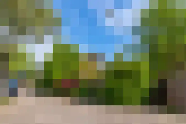 Brugakker 6607 Zeist thumbnail 40