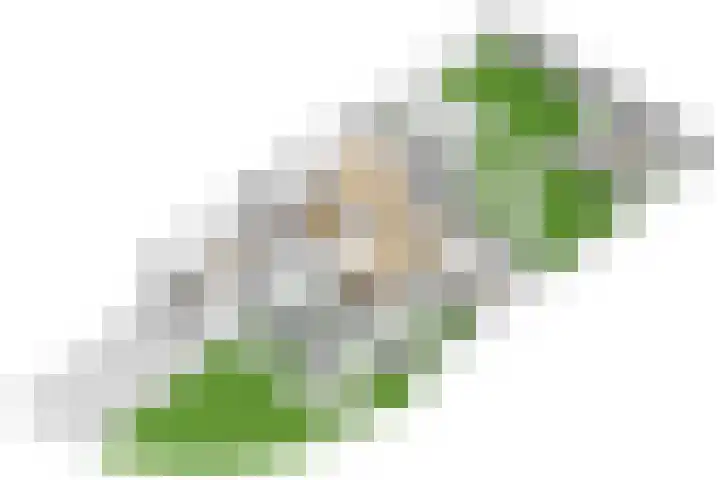 Brugakker 6607 Zeist thumbnail 48