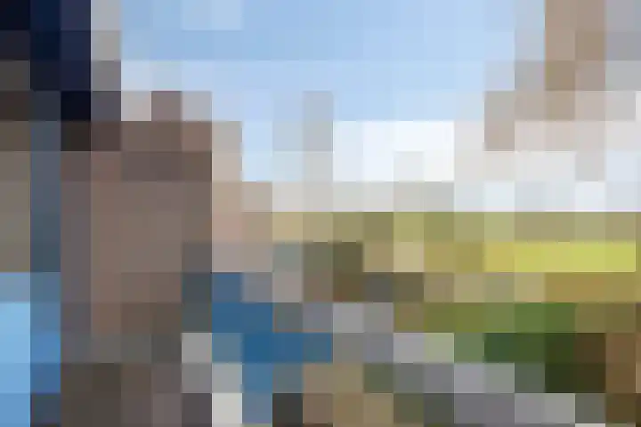 Brugakker 6626 Zeist thumbnail 26