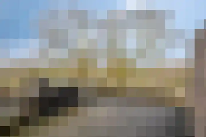Brugakker 6626 Zeist thumbnail 27