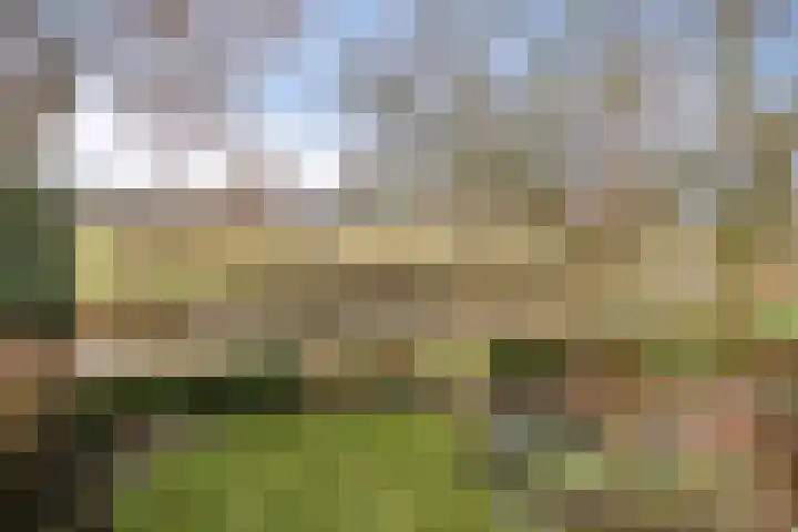 Brugakker 6626 Zeist thumbnail 28