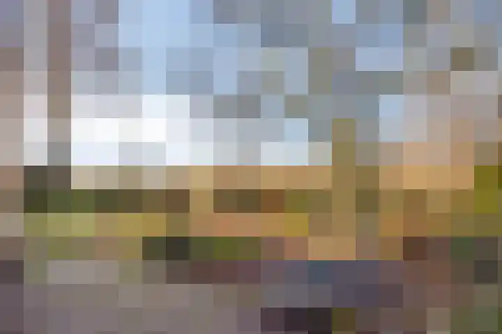 Brugakker 6626 Zeist thumbnail 29