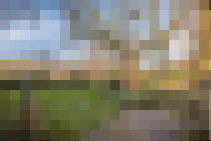 Brugakker 6626 Zeist thumbnail 30