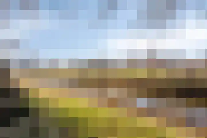 Brugakker 6626 Zeist thumbnail 33