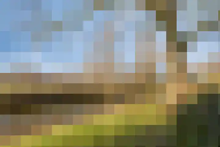 Brugakker 6626 Zeist thumbnail 34