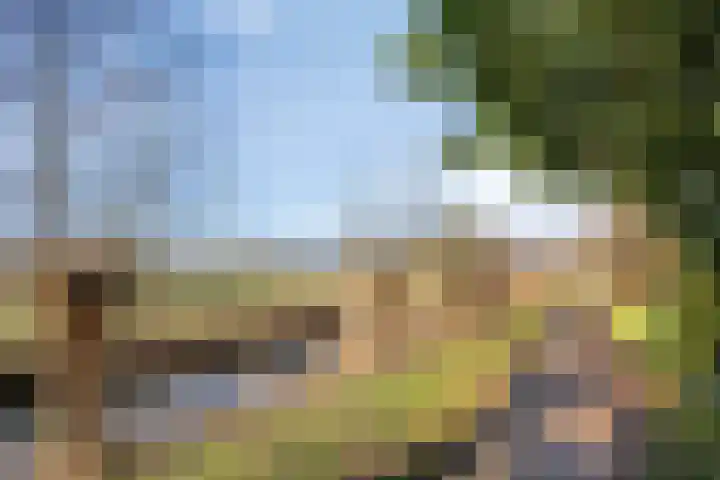 Brugakker 6626 Zeist thumbnail 35