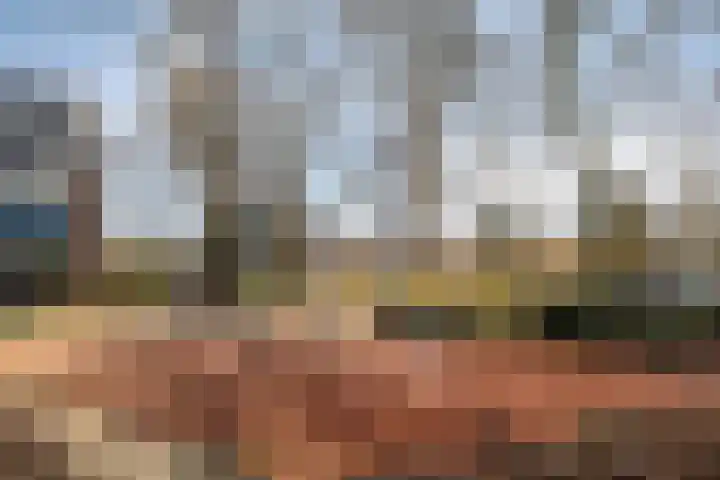 Brugakker 6626 Zeist thumbnail 36