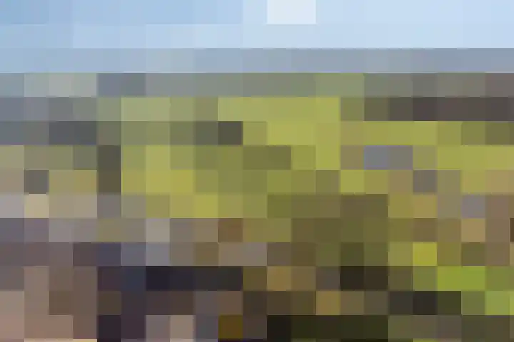 Brugakker 6626 Zeist thumbnail 38