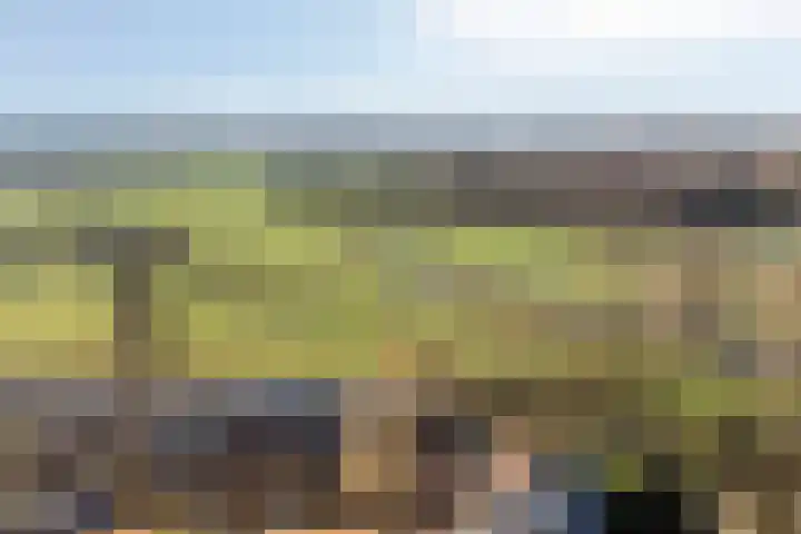 Brugakker 6626 Zeist thumbnail 39