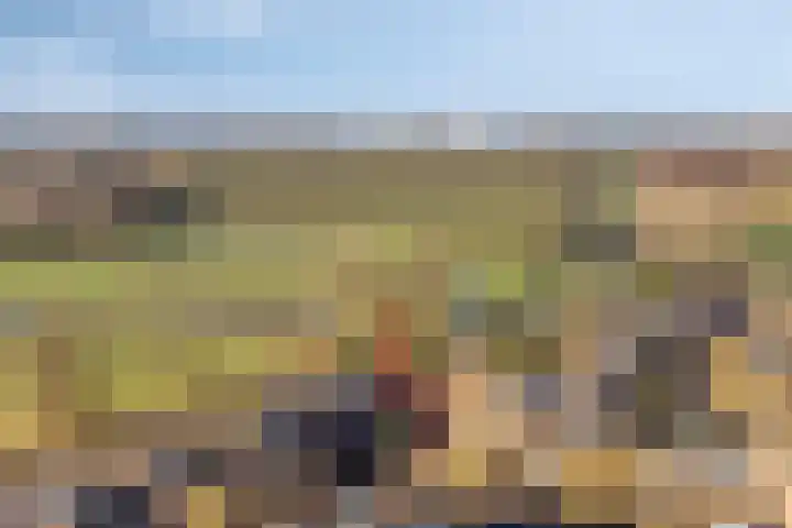 Brugakker 6626 Zeist thumbnail 4