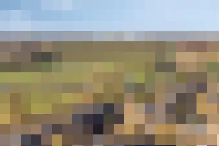 Brugakker 6626 Zeist thumbnail 40