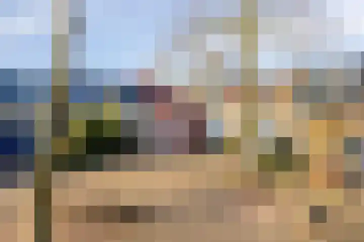 Brugakker 6626 Zeist thumbnail 5