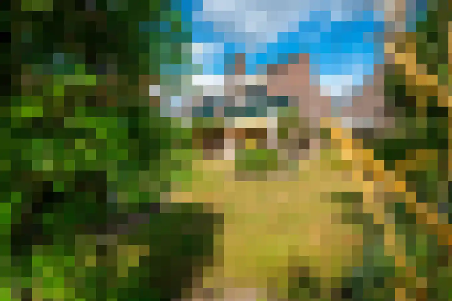 Brugakker 6810 Zeist thumbnail 34
