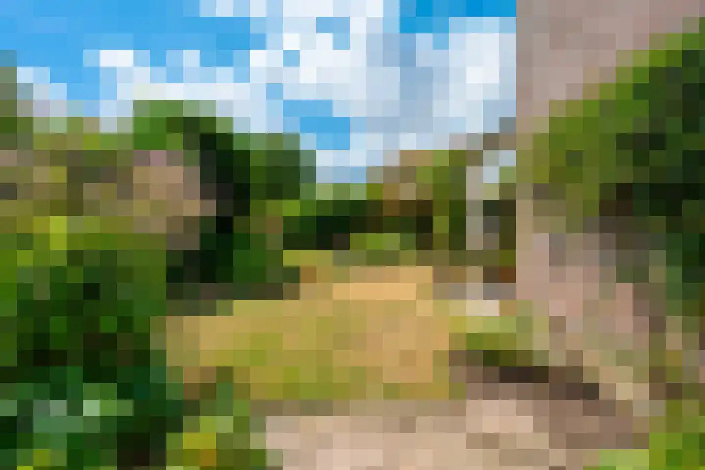 Brugakker 6810 Zeist thumbnail 36