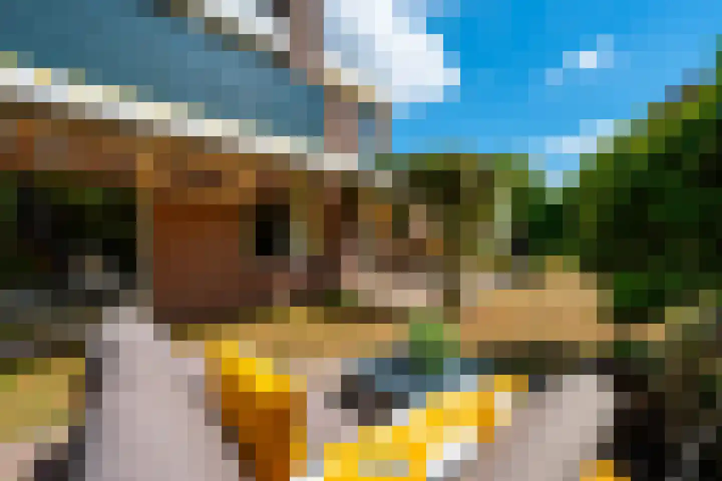 Brugakker 6810 Zeist thumbnail 39