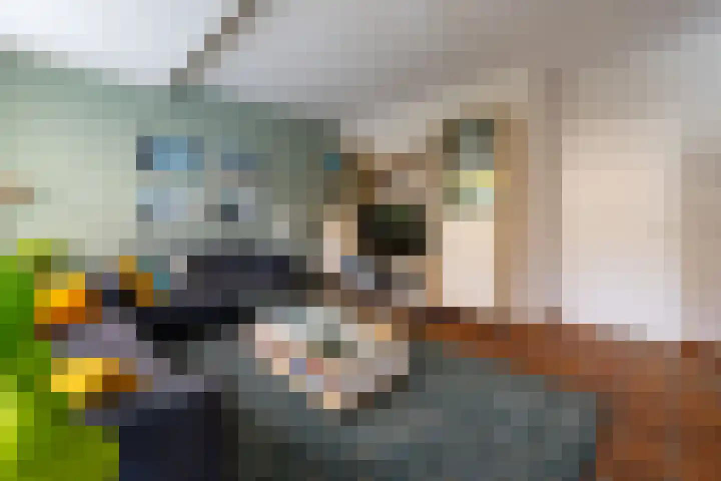 Brugakker 6810 Zeist thumbnail 5