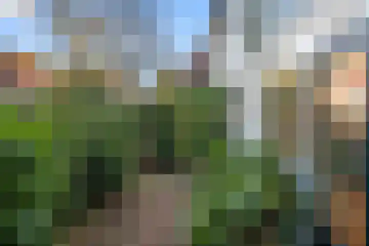 Brugbeemd 8 in Waalre