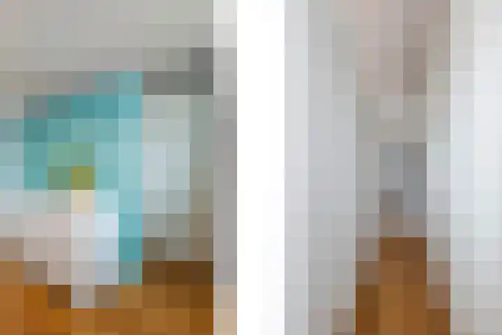Brugbeemd 8 Waalre thumbnail 20