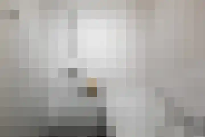Brugbeemd 8 Waalre thumbnail 25