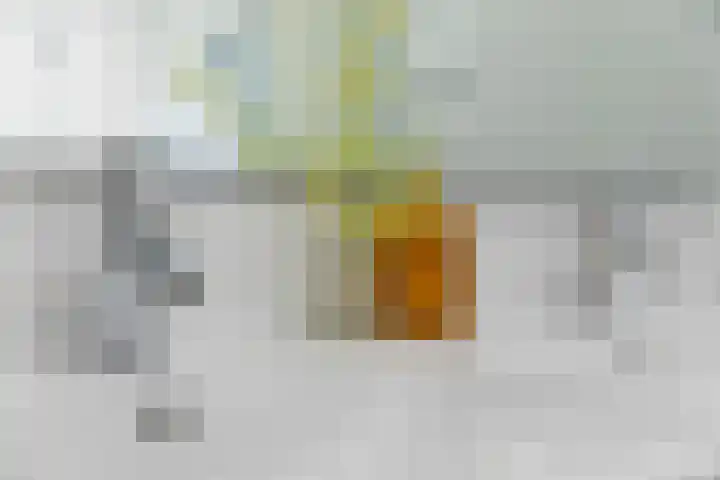 Brugbeemd 8 Waalre thumbnail 26