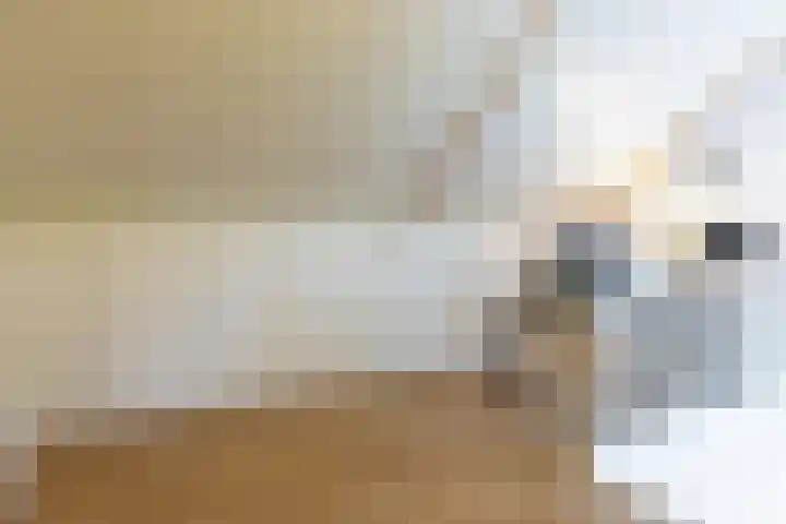 Brugbeemd 8 Waalre thumbnail 32
