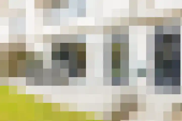 Brugbeemd 8 Waalre thumbnail 34