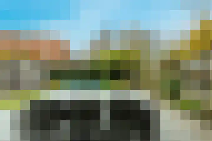Brugbeemd 8 Waalre thumbnail 42